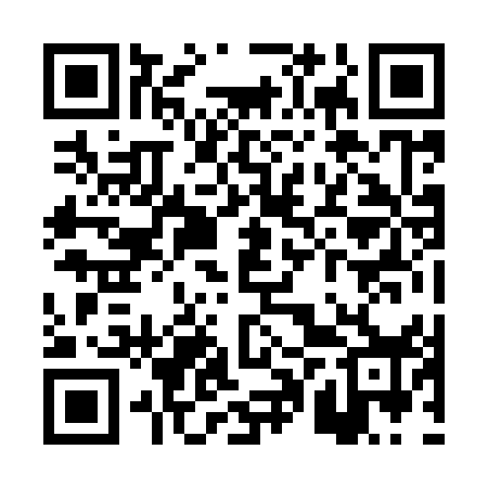 QR code for PPZ958