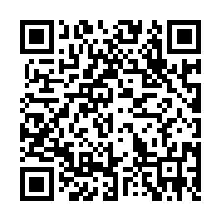 QR code for PPZ997