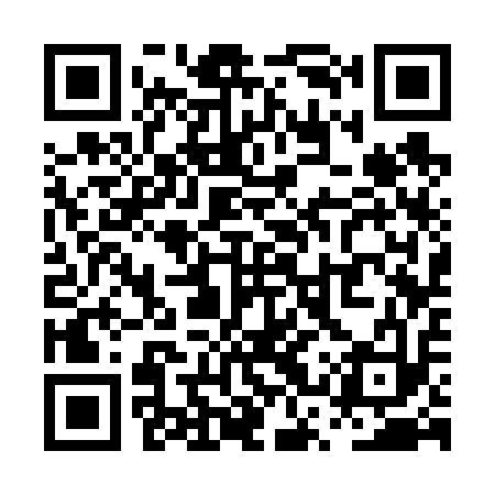 QR code for PSS613
