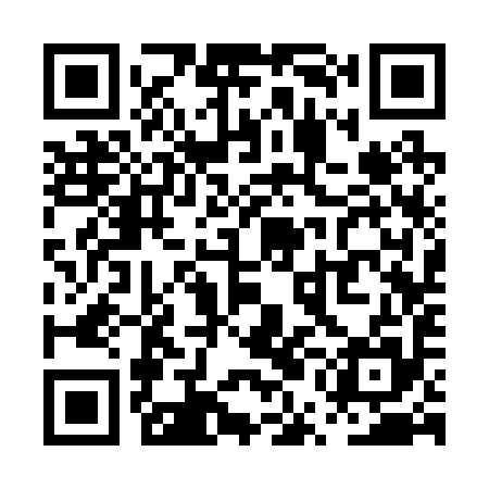 QR code for PUC295