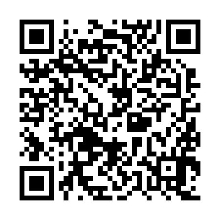 QR code for PUF294
