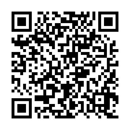 QR code for PUN036