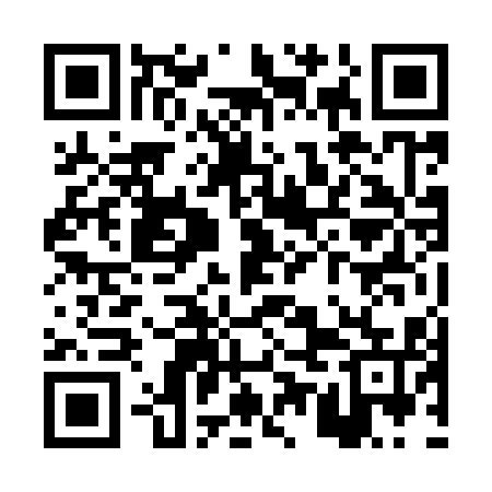 QR code for PUN915