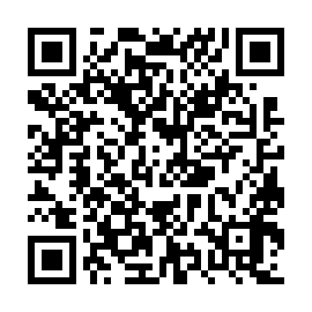 QR code for PYG698