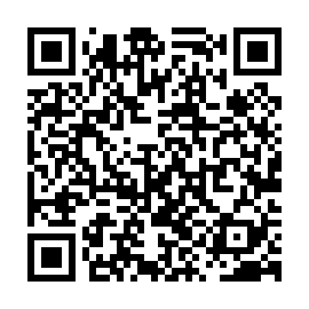 QR code for PYL029
