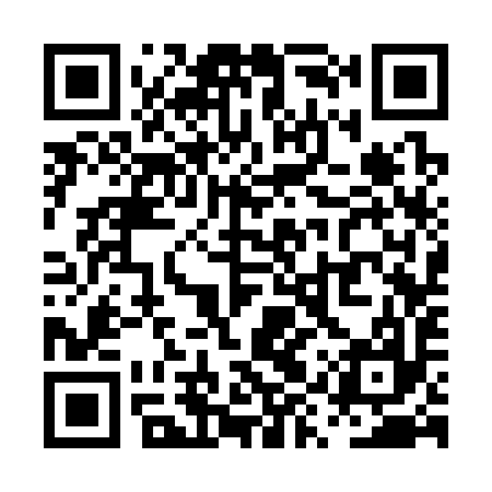 QR code for PYS397