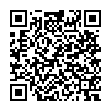 QR code for PYS550