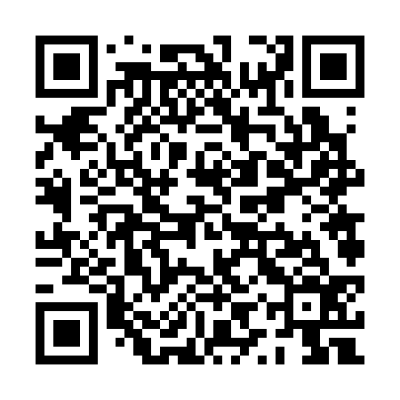 QR code for PYV336