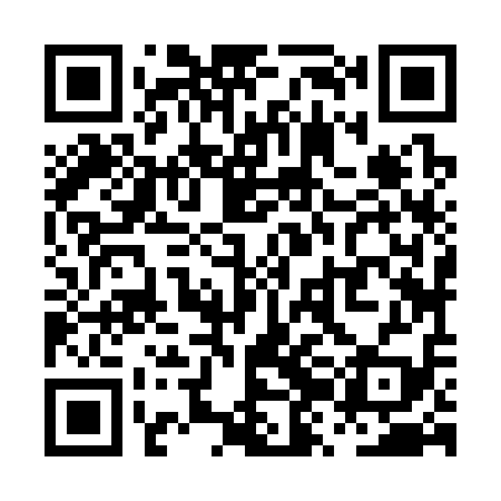 QR code for PZJ319