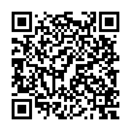 QR code for PZL509