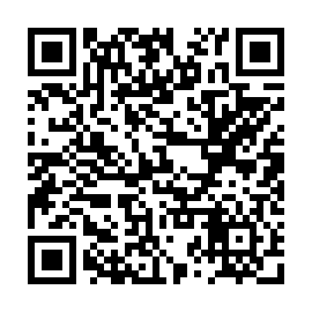 QR code for PZQ606