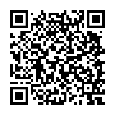 QR code for PZT495