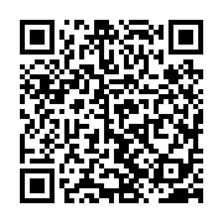 QR code for PZZ219