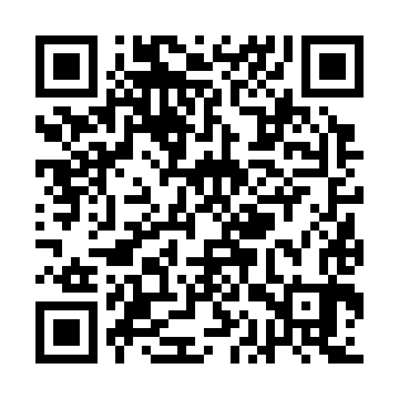 QR code for QAV383