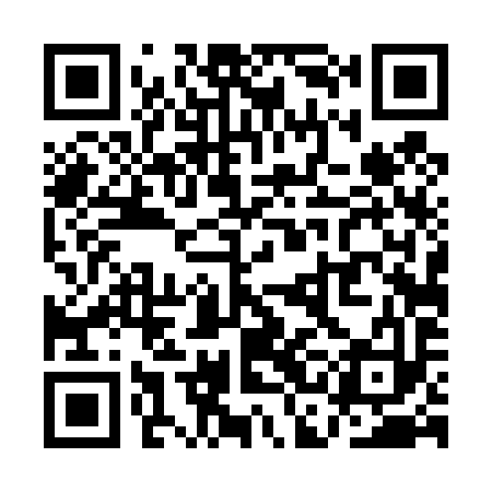 QR code for QCD493