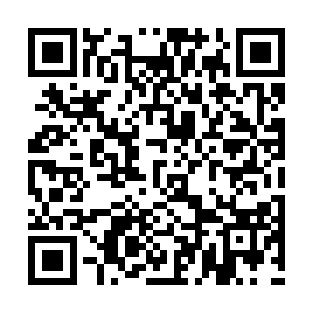 QR code for QDD313
