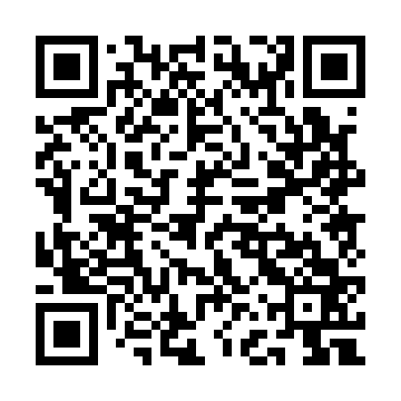 QR code for QFP163