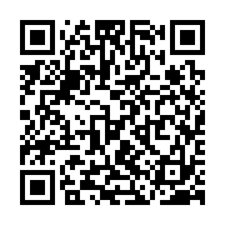 QR code for QFS333