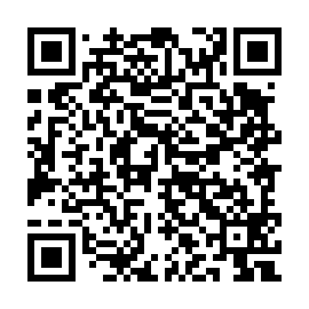 QR code for QLH499