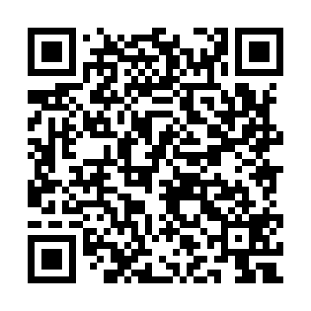 QR code for QLH919