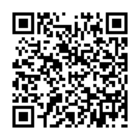 QR code for QLM313