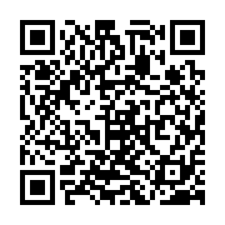 QR code for QLU311