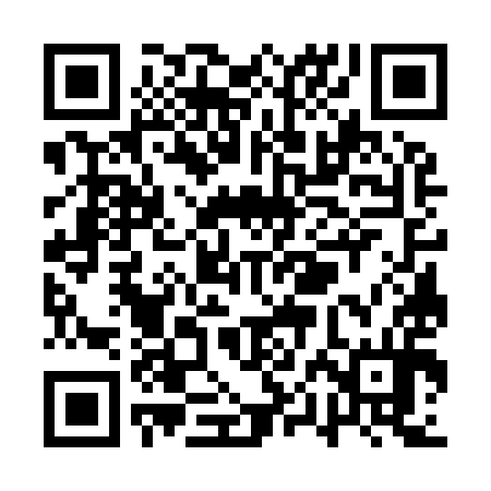 QR code for QPG994