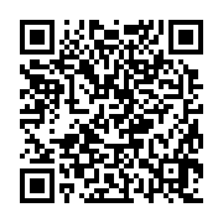 QR code for QQS386