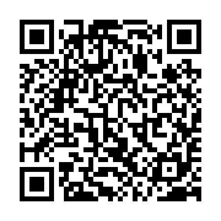 QR code for QSS295