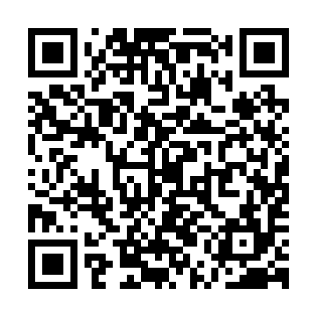 QR code for QUA294