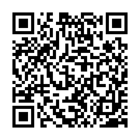 QR code for QWW393