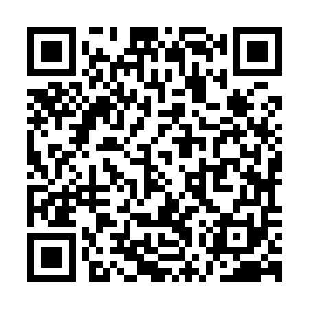 QR code for QWZ951