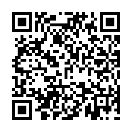 QR code for QXM295