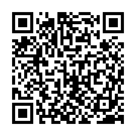 QR code for RAI873
