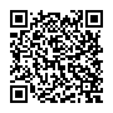 QR code for RAP943
