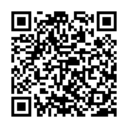 QR code for RFT029