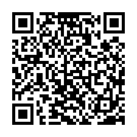 QR code for RGX533