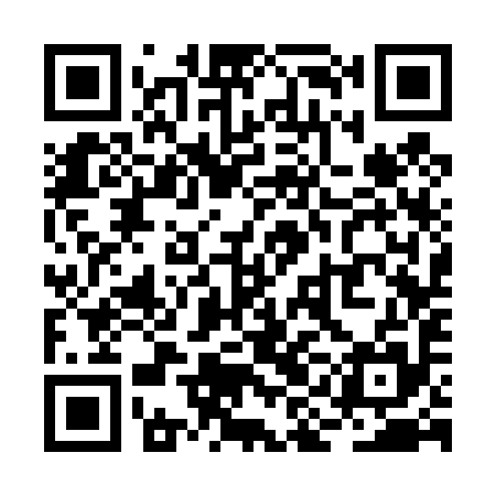 QR code for RIC495