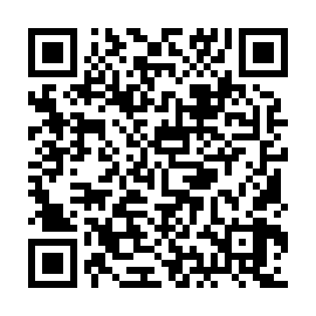 QR code for RIM868