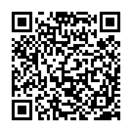 QR code for RIR497