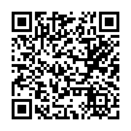 QR code for RIX393