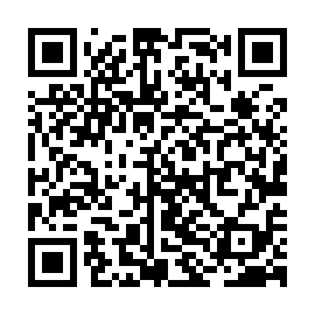 QR code for RLL919