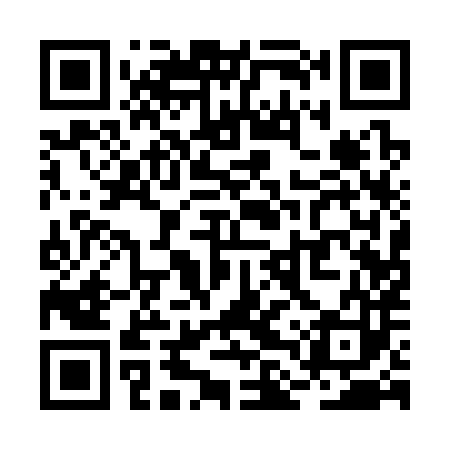 QR code for RLQ383
