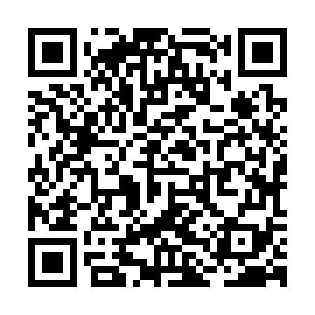 QR code for RLZ379