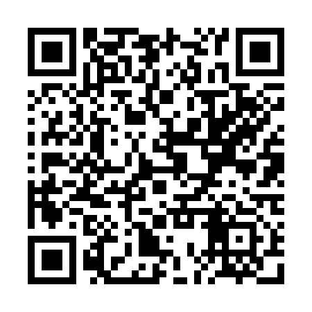 QR code for ROV313