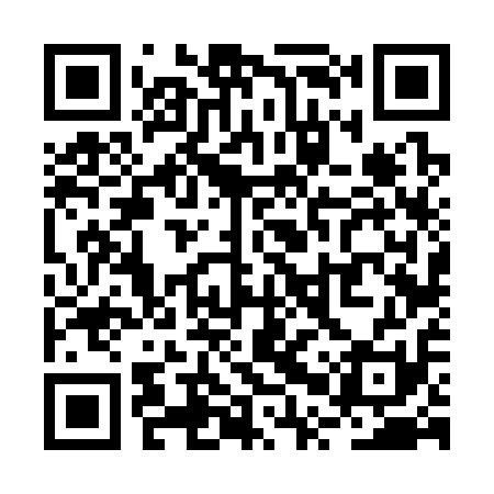QR code for RPV311