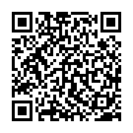 QR code for RPX171