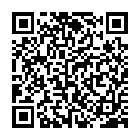 QR code for RQG313