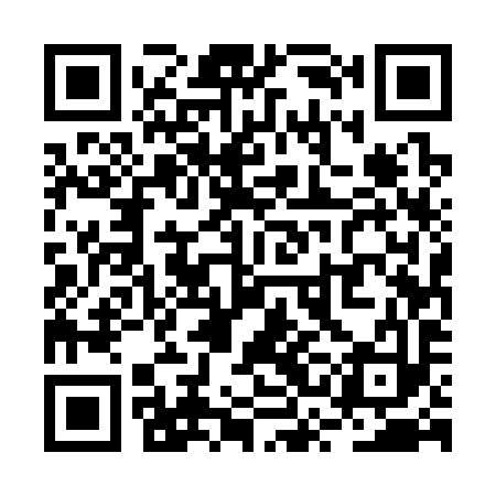 QR code for RSE393