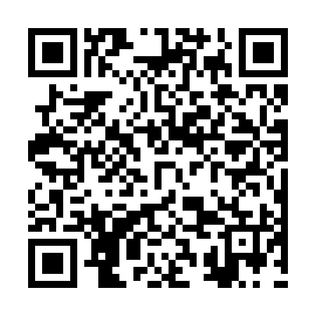 QR code for RSG295